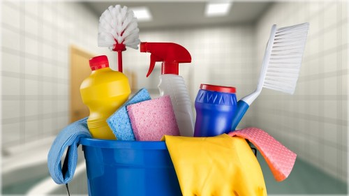 West Kensington Carpet Cleaners team focusing on eco-friendly recycling and carpet care