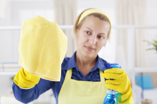 Secure payment interface for West Kensington Carpet Cleaners