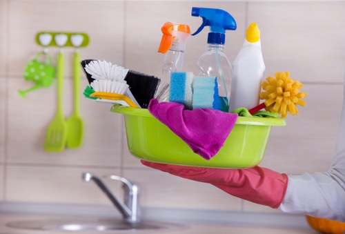 Professional pet stain odour removal in a West Kensington home