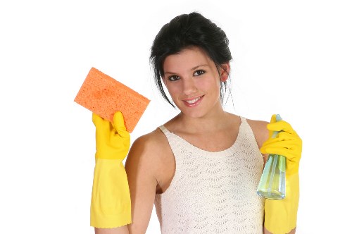 Carpet cleaning booking and service terms document