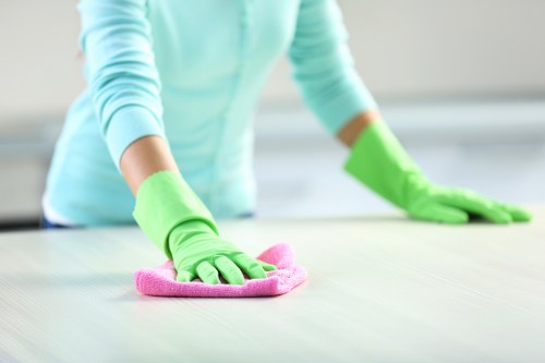 Detailed review of a carpet cleaning service concern