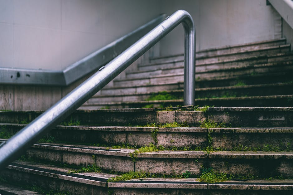 Exterior view of a concrete staircase with moss and dirt accumulation between the steps, featuring a metal handrail running along the left side. The staircase is outdoors, leading to a building with a